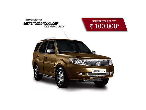 ಸಫಾರಿ ಸ್ಟ್ರೋಮ್ 