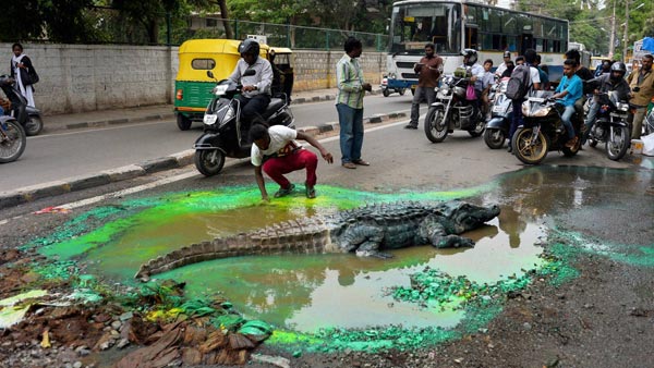 ಬಿಬಿಎಂಪಿಗೆ ಹೈ-ಕೋರ್ಟ್ನಿಂದ ಕಡಖ್ ವಾರ್ನಿಂಗ್. ಏನದು.?