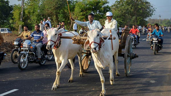 ಅಚ್ಚರಿಯಾದ್ರು ಸತ್ಯ: ಎತ್ತಿನ ಗಾಡಿಗೂ ದುಬಾರಿ ದಂಡ ವಿಧಿಸಿದ ಟ್ರಾಫಿಕ್ ಪೊಲೀಸರು..!