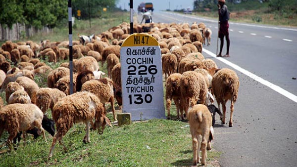 ಮೈಲಿಗಲ್ಲುಗಳ ಬಣ್ಣದ ಹಿಂದಿರುವ ಕಾರಣಗಳೇನು ಗೊತ್ತಾ?