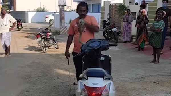 ಸ್ಕೂಟರ್ ಹೆಡ್ಲ್ಯಾಂಪ್ನಲ್ಲಿದ್ದ ಹಾವು ಹೊರಬಂದಿದ್ದು ಹೇಗೆ ಗೊತ್ತಾ?