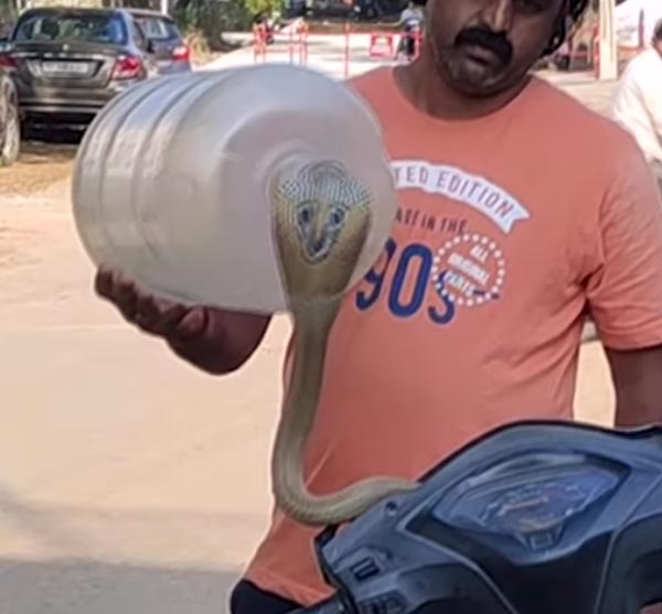 ಸ್ಕೂಟರ್ ಹೆಡ್ಲ್ಯಾಂಪ್ನಲ್ಲಿದ್ದ ಹಾವು ಹೊರಬಂದಿದ್ದು ಹೇಗೆ ಗೊತ್ತಾ?