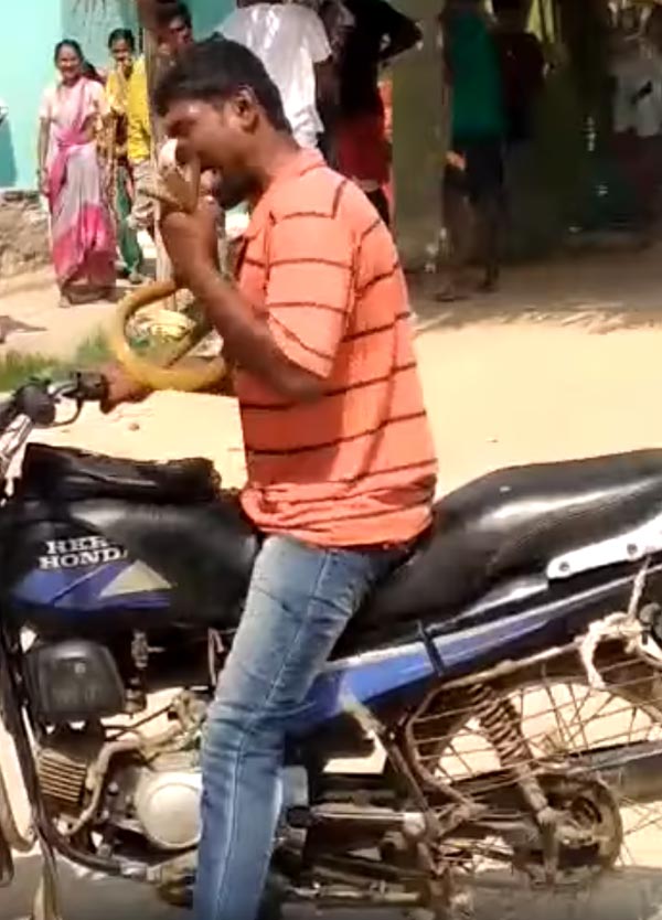 ಎಣ್ಣೆ ಮತ್ತಿನಲ್ಲಿ ಸ್ನ್ಯಾಕ್ಸ್ ಬದಲು ಸ್ನೇಕ್ ತಿಂದ ಭೂಪ..!