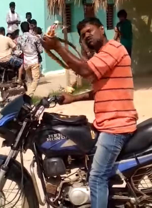 ಎಣ್ಣೆ ಮತ್ತಿನಲ್ಲಿ ಸ್ನ್ಯಾಕ್ಸ್ ಬದಲು ಸ್ನೇಕ್ ತಿಂದ ಭೂಪ..!