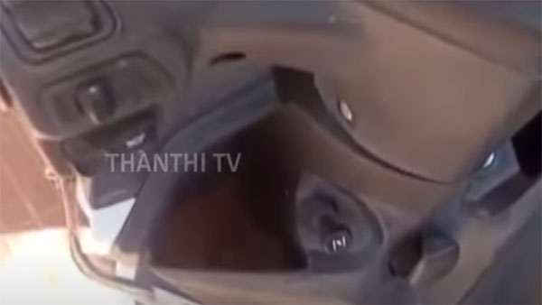 ಗುಬ್ಬಚ್ಚಿ ಗೂಡಿನ ಕಾರಣಕ್ಕೆ ಸ್ಕೂಟರ್ ಮುಟ್ಟದ ವಕೀಲ