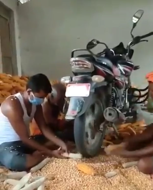 ಮೆಕ್ಕೆ ಜೋಳ ಬೇರ್ಪಡಿಸುವ ಹೊಸ ಐಡಿಯಾ ಮೆಚ್ಚಿದ ಆನಂದ್ ಮಹೀಂದ್ರಾ