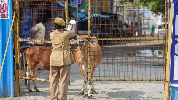 ಫೇಸ್ ಮಾಸ್ಕ್ ಧರಿಸದೇ ಲೇಡಿ ಕಾನ್ಸ್ಟೆಬಲ್ ಜೊತೆಗೆ ವಾಗ್ವಾದಕ್ಕಿಳಿದ ಕ್ರಿಕೆಟಿಗ