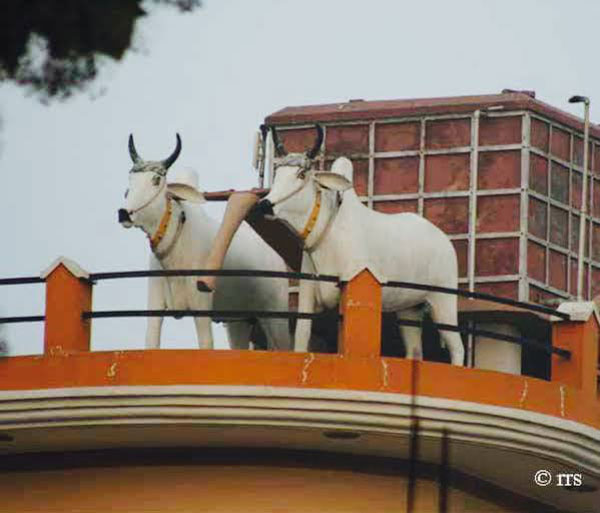 ನೆಚ್ಚಿನ ಕಾರಿನ ಆಕಾರದಲ್ಲಿ ವಾಟರ್ ಟ್ಯಾಂಕ್ ನಿರ್ಮಿಸಿದ ಕಾರು ಪ್ರೇಮಿ