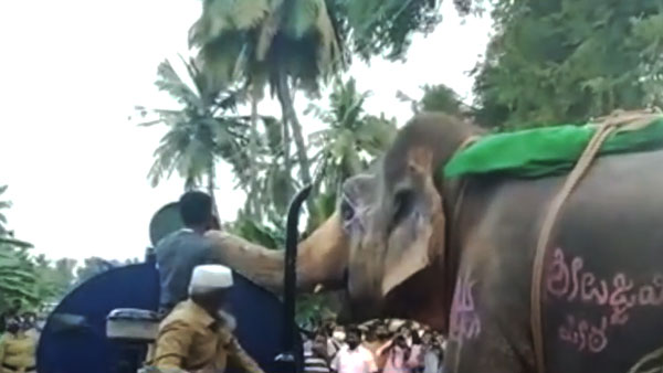 ಟ್ರಾಕ್ಟರ್ ಅಡ್ಡಗಟ್ಟಿ ಟ್ಯಾಂಕರ್ ನೀರು ಕುಡಿದ ಗಜರಾಜ