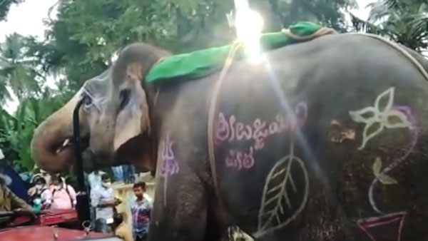 ಟ್ರಾಕ್ಟರ್ ಅಡ್ಡಗಟ್ಟಿ ಟ್ಯಾಂಕರ್ ನೀರು ಕುಡಿದ ಗಜರಾಜ