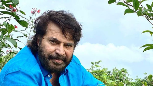 ದುಬಾರಿ ಬೆಲೆಯ ಐಷಾರಾಮಿ ಕಾರವಾನ್ ಖರೀದಿಸಿದ ಜನಪ್ರಿಯ ನಟ