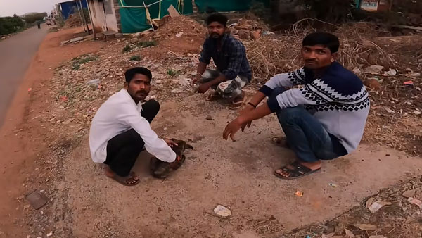 ಗಾಯಗೊಂಡಿದ್ದ ನಾಯಿ ಮರಿಯನ್ನು ರಕ್ಷಿಸಲು ಹೋಗಿ ಸಂಕಷ್ಟಕ್ಕೆ ಸಿಲುಕಿದ ಯುವತಿ