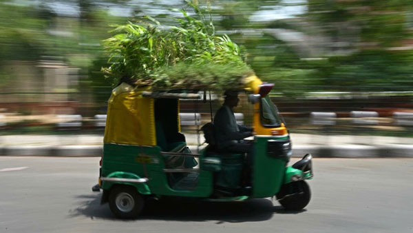 ಬಿಸಿಲಿನಲ್ಲೂ ತಂಪೆರೆಯಲು ಛಾವಣಿಯ ಮೇಲೆ ಉದ್ಯಾನ ನಿರ್ಮಿಸಿದ ಆಟೋ ಚಾಲಕ