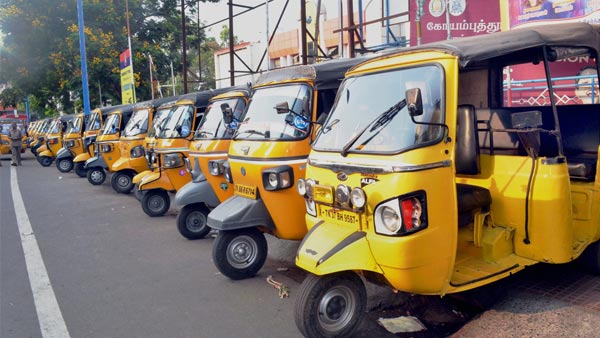 ಬಿಸಿಲಿನಲ್ಲೂ ತಂಪೆರೆಯಲು ಛಾವಣಿಯ ಮೇಲೆ ಉದ್ಯಾನ ನಿರ್ಮಿಸಿದ ಆಟೋ ಚಾಲಕ