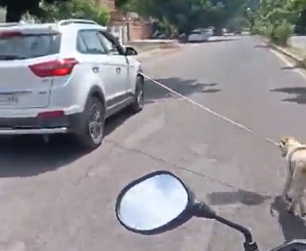 ನಾಯಿಗೆ ನರಕ ತೋರಿದ ವೈದ್ಯನ ವಿರುದ್ಧ ಎಫ್ಐಆರ್: ಕಾರಿನ ವೇಗಕ್ಕೆ ಮೂಕ ಜೀವಿಯ ನರಳಾಟ
