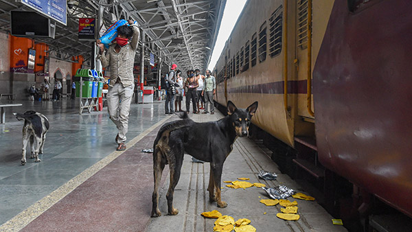 ಇನ್ಮುಂದೆ ರೈಲಿನಲ್ಲಿ ಸಾಕು ಪ್ರಾಣಿಗಳನ್ನು ಕರೆದೊಯ್ಯಬಹುದು: ದರ, ಬುಕಿಂಗ್ ವಿಧಾನ ಕುರಿತ ಮಾಹಿತಿ...